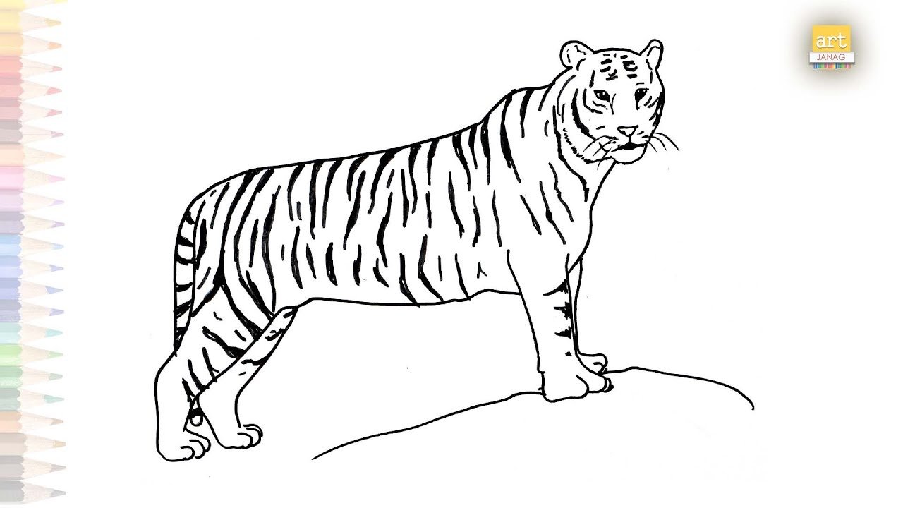 Drawing:X_Jcvq0yuaw= Tiger