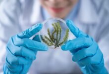 cyber signal protection council