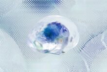 predictive network intelligence console